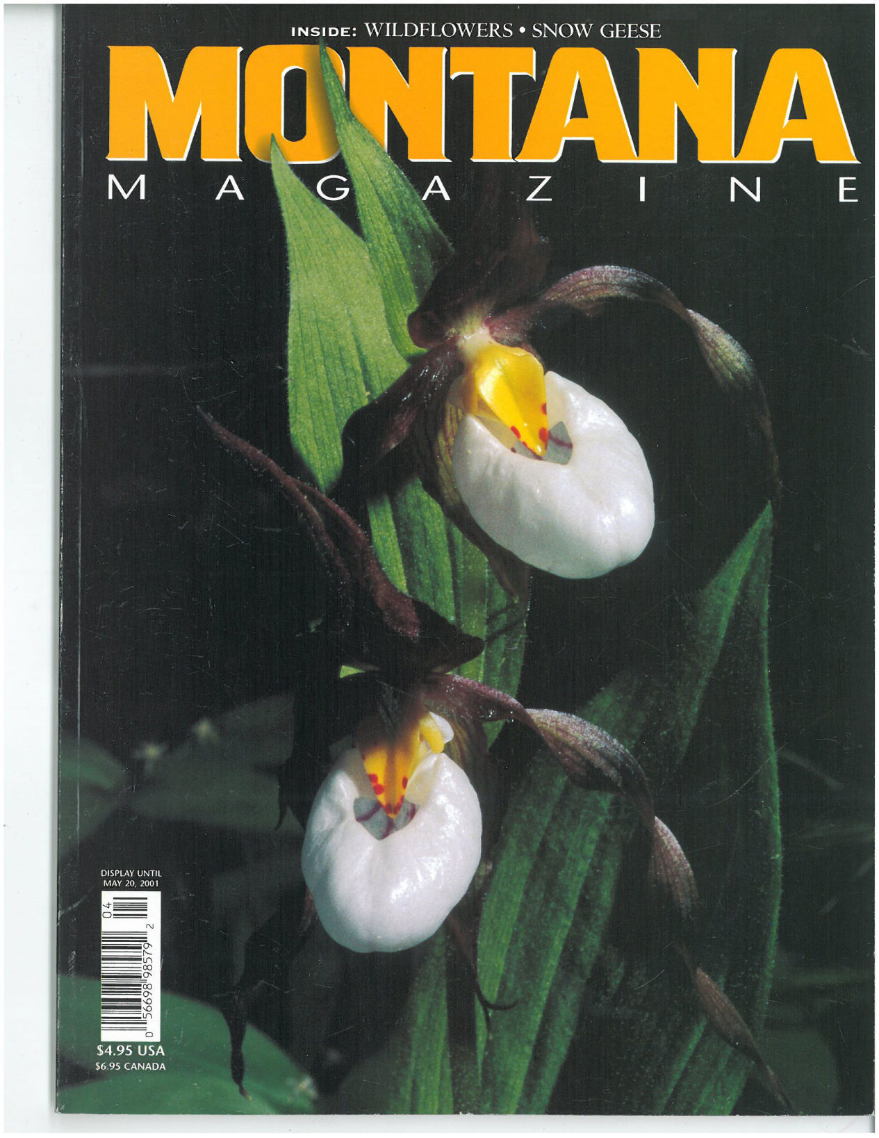 March/April 2001